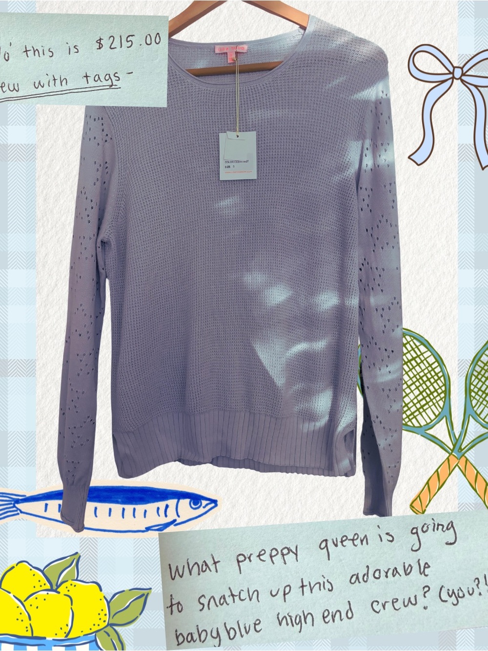 NWT Lisa Todd Light Blue Crewneck Pointelle Sleeve Sweater, preppy, high end